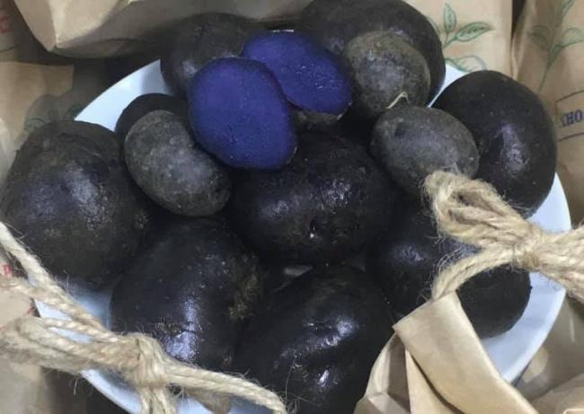 Khoai tây tím sau khi luộc